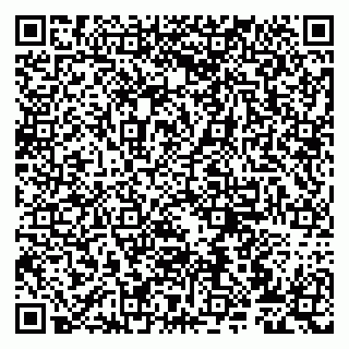 vCard 79807273273