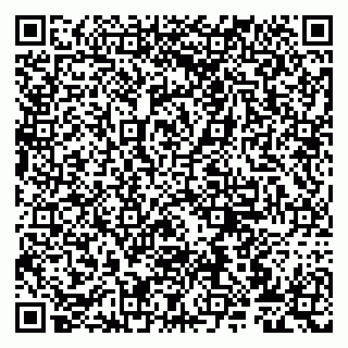 vCard 79807273280