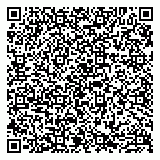 vCard 79807273281
