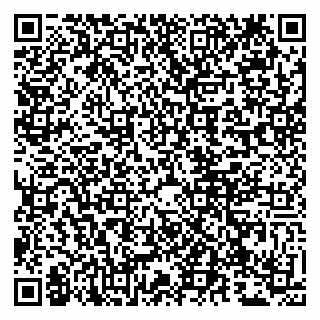 vCard 79807273287