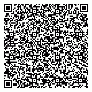 vCard 79807273291