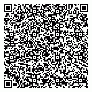 vCard 79807273299