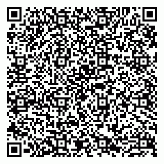 vCard 79807273300