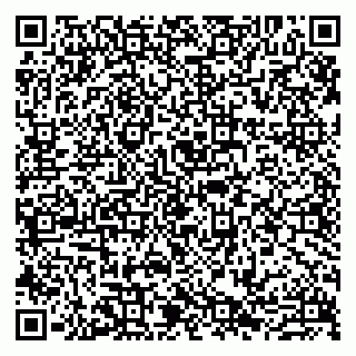 vCard 79807273301
