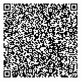 vCard 79807273302