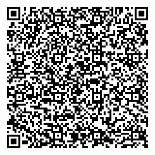 vCard 79807273305
