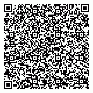 vCard 79807273308