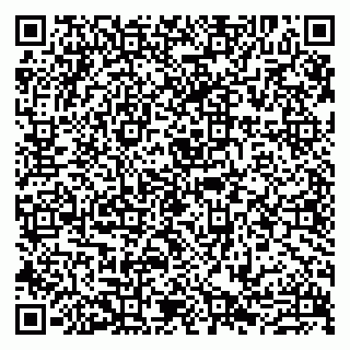 vCard 79807273309