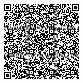 vCard 79807273311