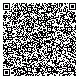 vCard 79807273313