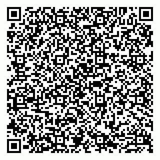 vCard 79807273320