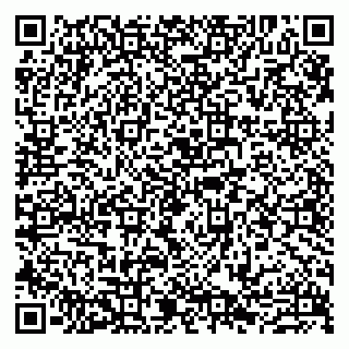 vCard 79807273321