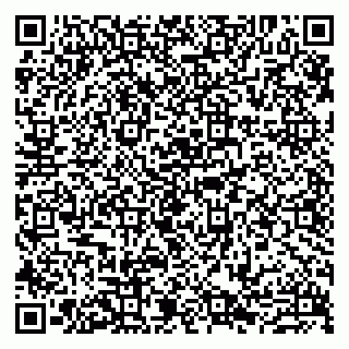 vCard 79807273331