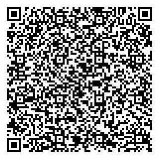 vCard 79807273335