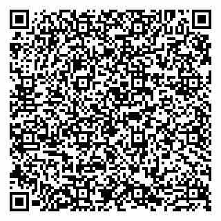 vCard 79807273337