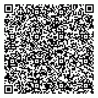 vCard 79807273379