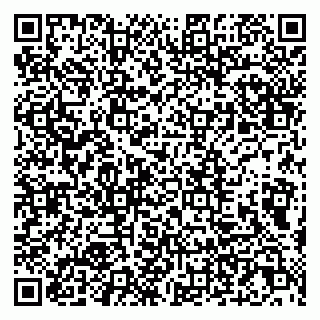 vCard 79807273381