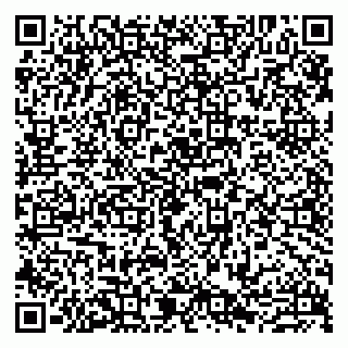 vCard 79807273382