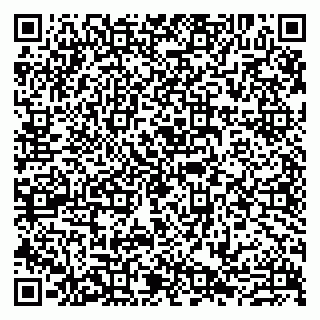 vCard 79807273385