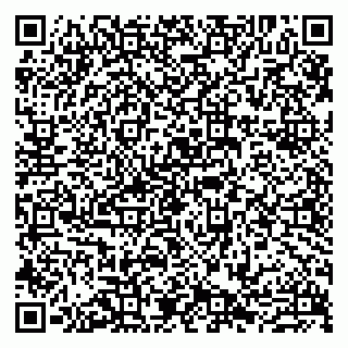 vCard 79807273387