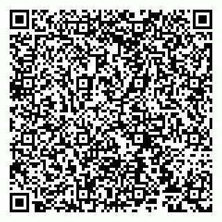 vCard 79807273408