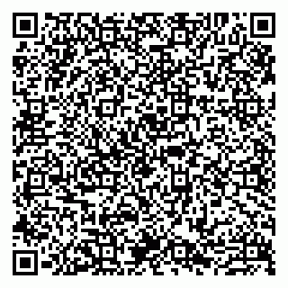 vCard 79807273409