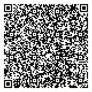 vCard 79807273410