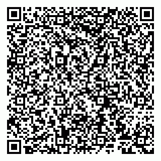 vCard 79807273411