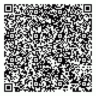 vCard 79807273417