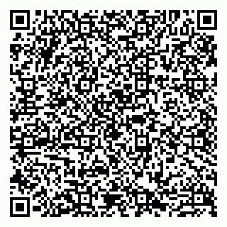 vCard 79807273449