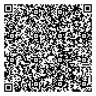 vCard 79807273507