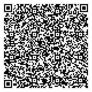 vCard 79807273508