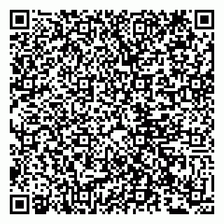 vCard 79807273509