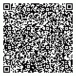 vCard 79807273521
