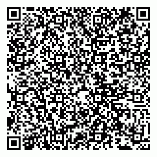 vCard 79807273529
