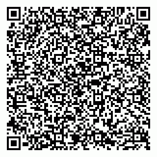 vCard 79807273531