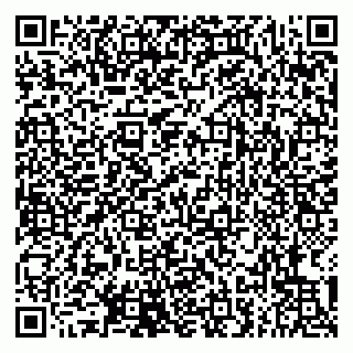 vCard 79807273533