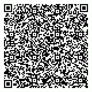 vCard 79807273537