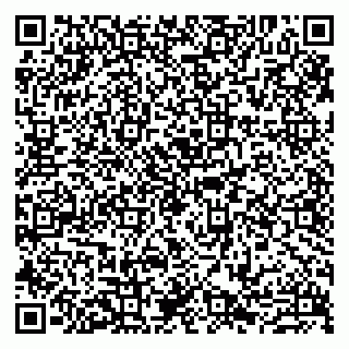 vCard 79807273539