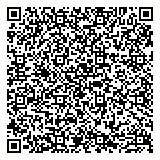 vCard 79807273540