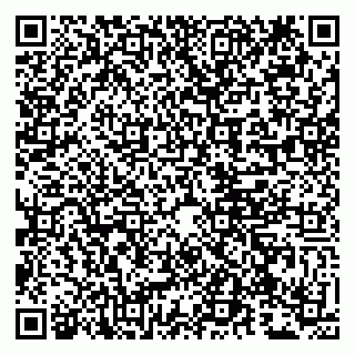 vCard 79807273542
