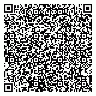 vCard 79807273547