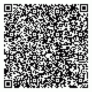 vCard 79807273548