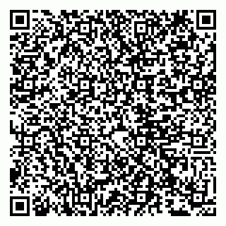 vCard 79807273587