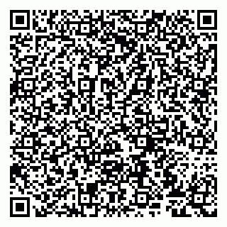 vCard 79807273632
