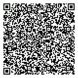vCard 79807273677
