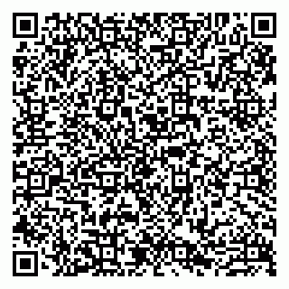 vCard 79807273704