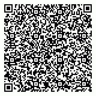 vCard 79807273735