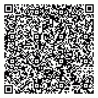 vCard 79807273789