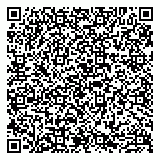 vCard 79807273804